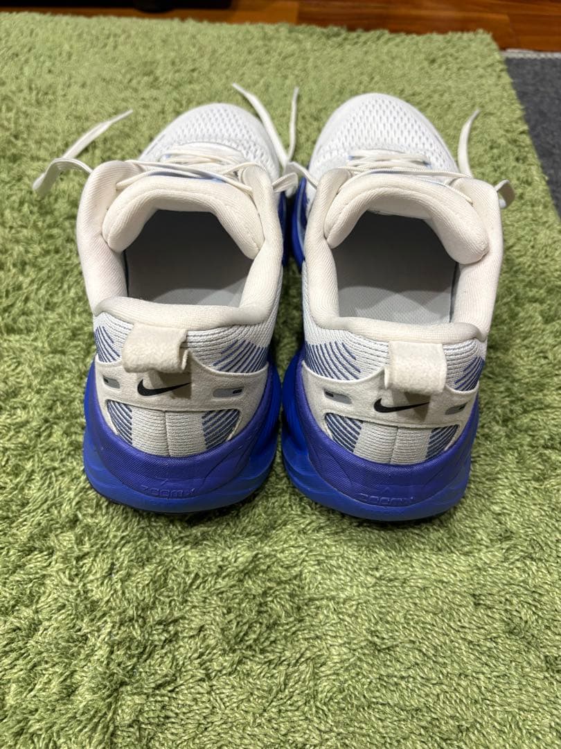 Nike (ナイキ) ズーム ボメロ 18 25cm