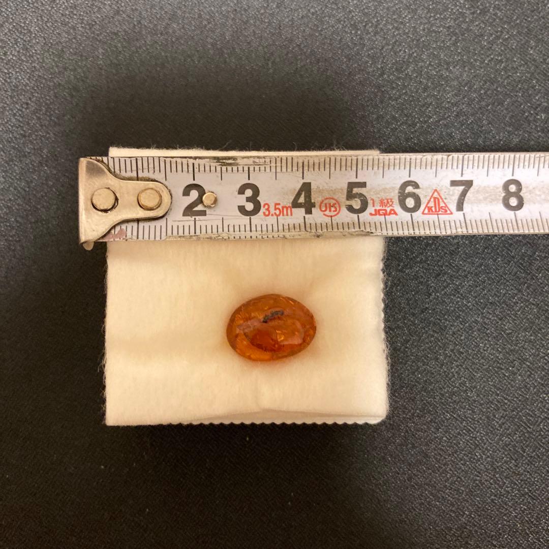 虫入り琥珀 ドミニカ産