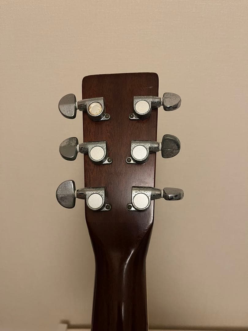 Gibsonセミハードケース付き！TOKAI Cat's Eyes