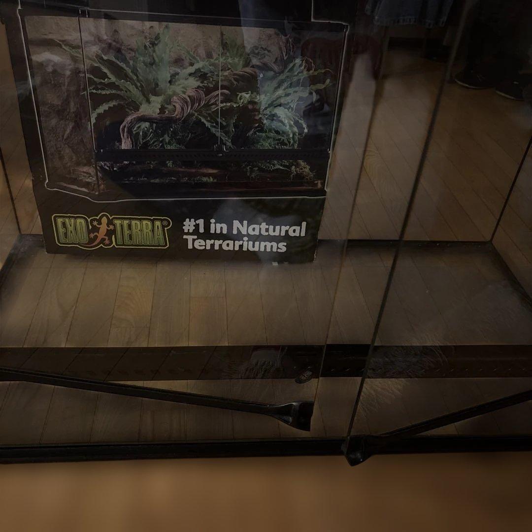 GEXグラステリウム9060