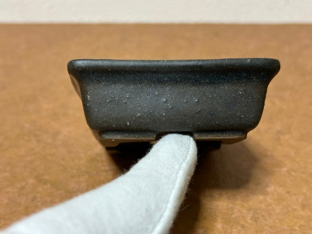 暁雲　盆栽鉢　ミニ盆栽　小品盆栽　山野草