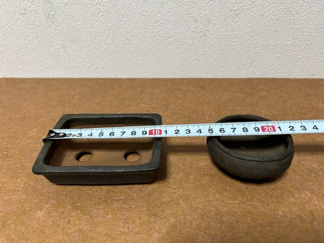 暁雲　盆栽鉢　ミニ盆栽　小品盆栽　山野草