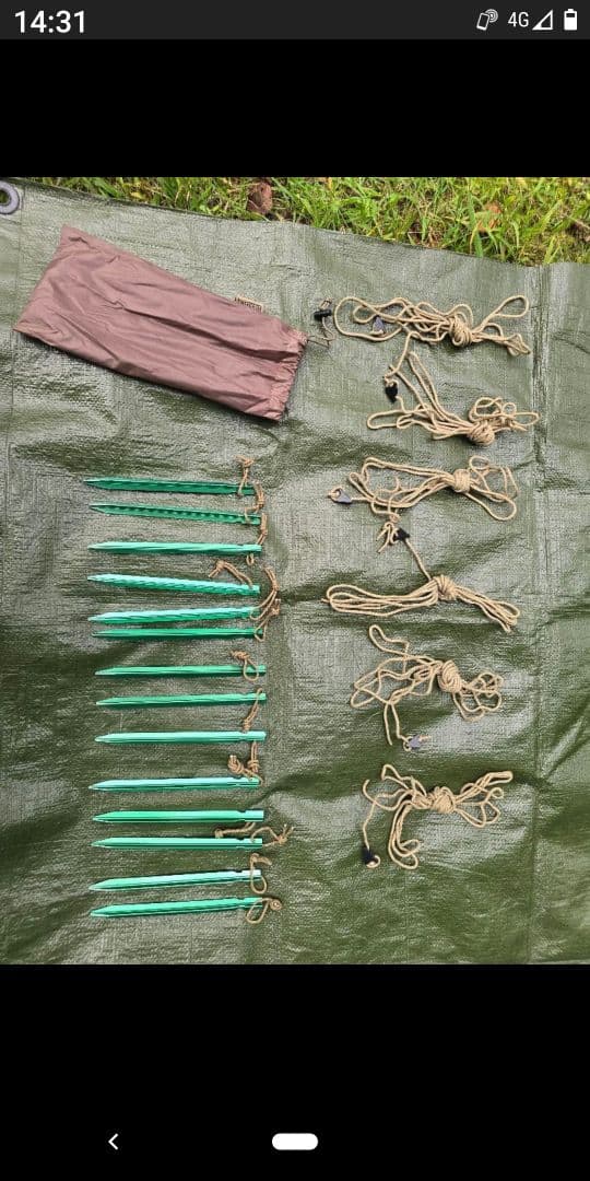 ワンティグリステント