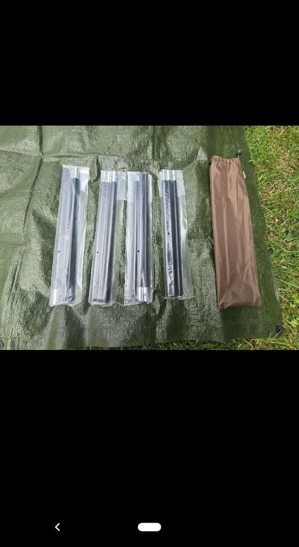 ワンティグリステント