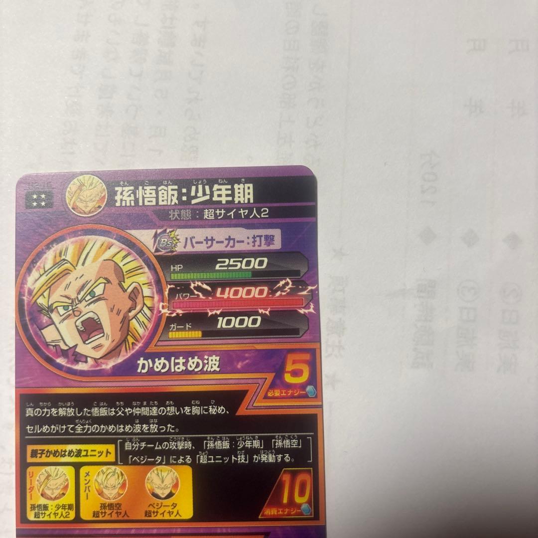 ドラゴンボールヒーローズ 孫悟飯 少年期 H2-16 旧弾