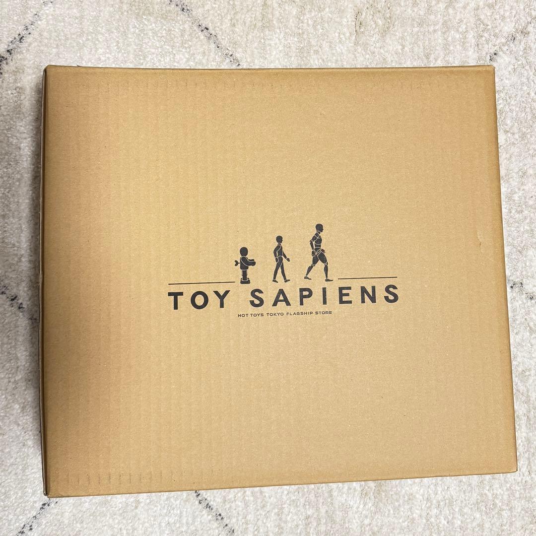 【新品未開封】ホットトイズ アナキン・スカイウォーカー SWCJ限定 国内正規品