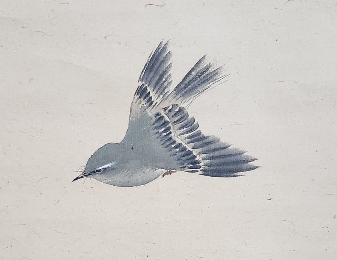 【紅梅に鴬図】望月玉渓 2616 ウグイス 望月玉成識箱　掛け軸　肉筆