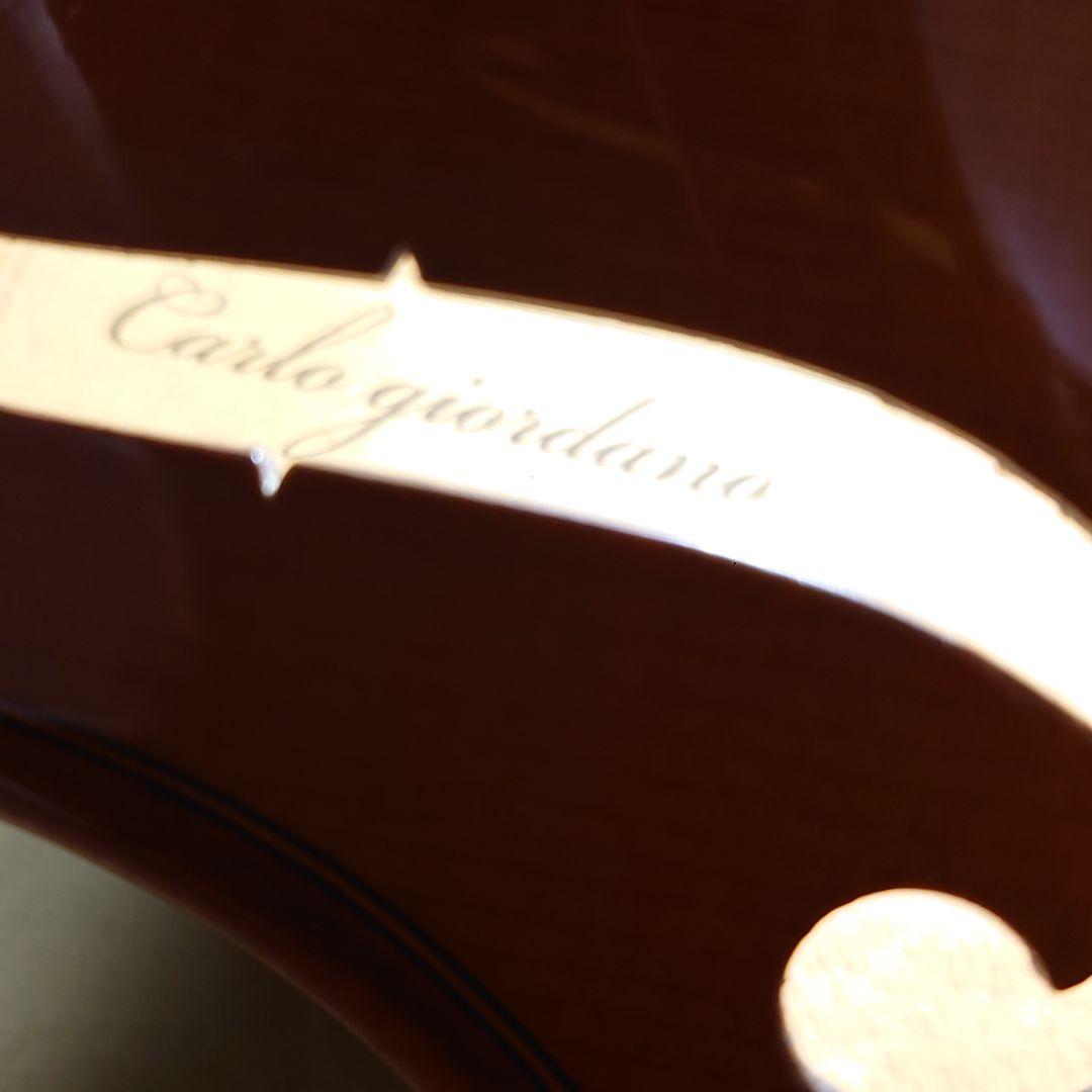 カルロジョルダーノ　バイオリン　4/4 VS-1 　ハードケース・弓付