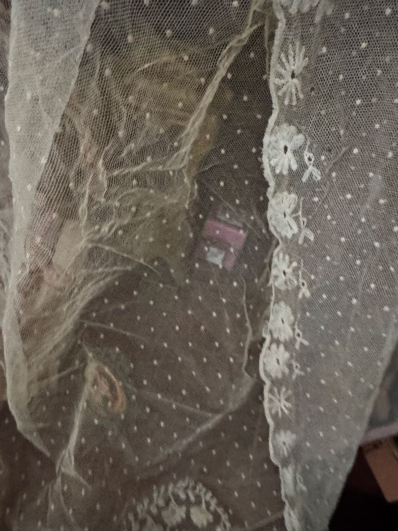 m*︎様 フランスアンティークコットンドット花刺繍レース大きめ