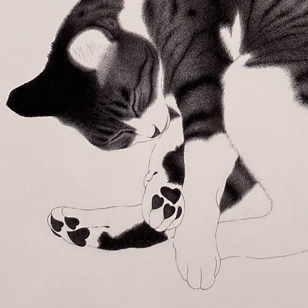 吉成信男、【ねこ】、希少な額装用画集より、新品額装付、状態良好