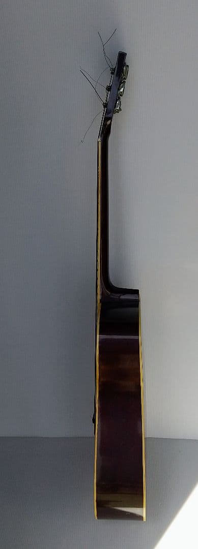 ハミングバード アコースティックギター 希少