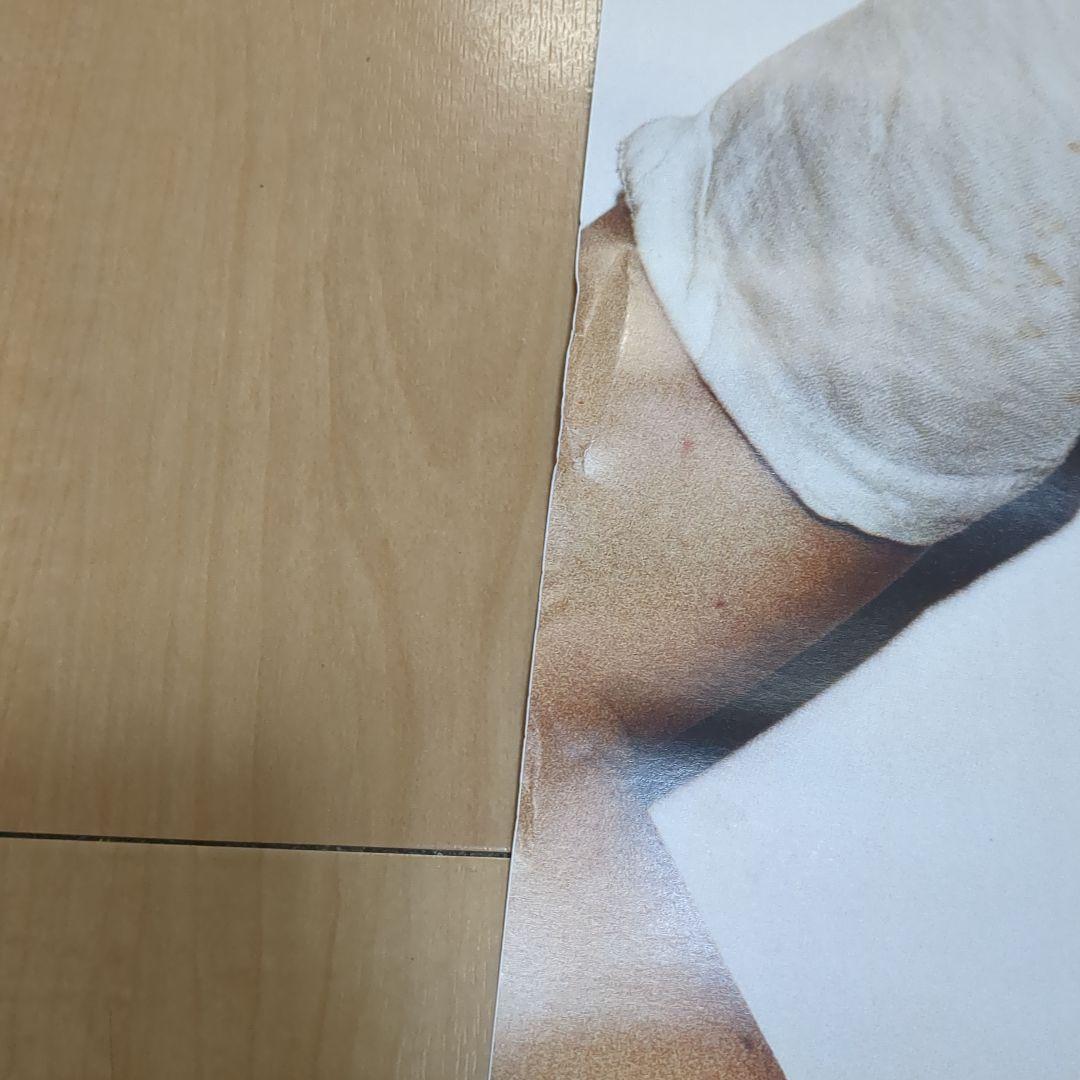 レディーガガ　ポスター　シュプリーム