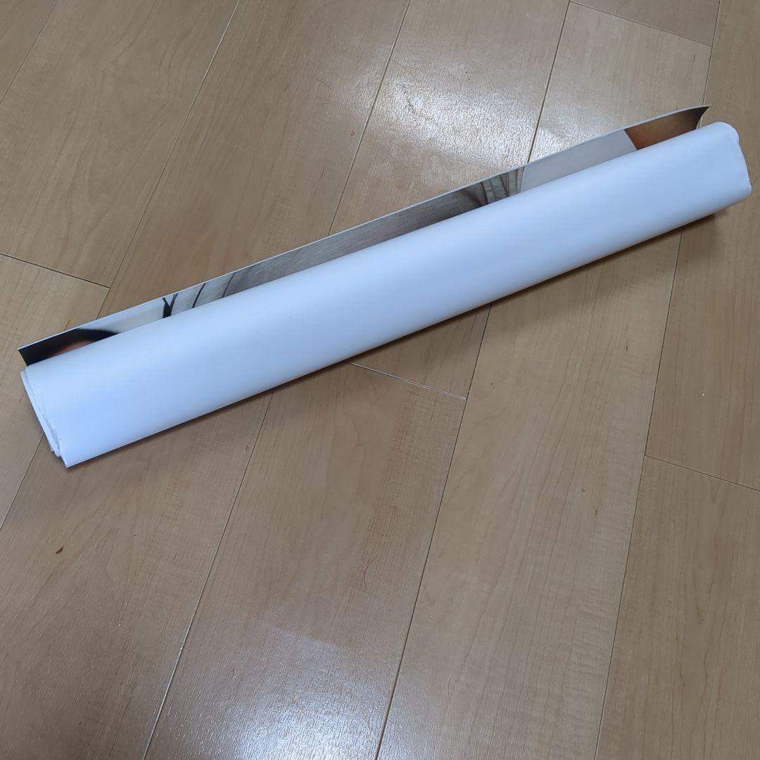 レディーガガ　ポスター　シュプリーム