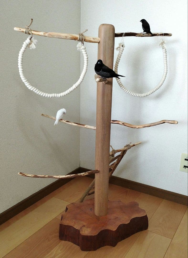 【中型鳥さん用】螺旋状♬バードアスレチック