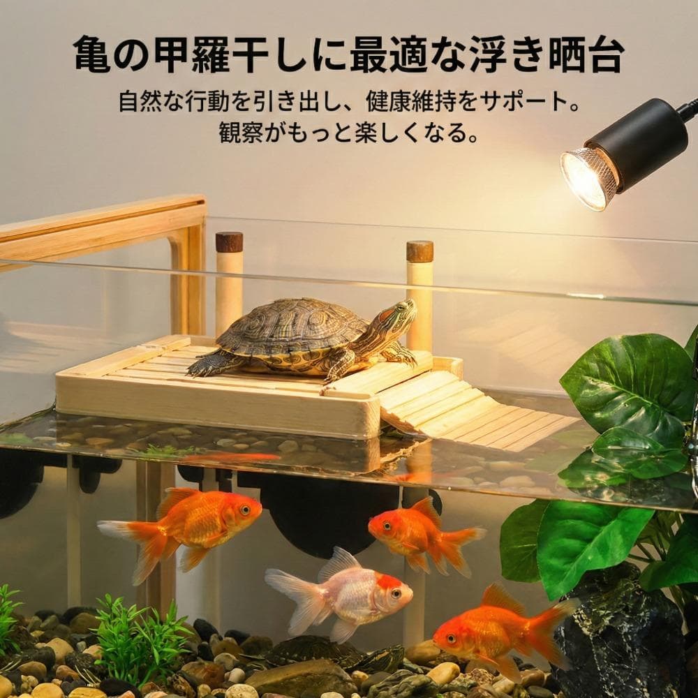 亀金魚飼育セット水槽15点豪華セット超白ガラスフィルター浮き島掃除簡単インテリア