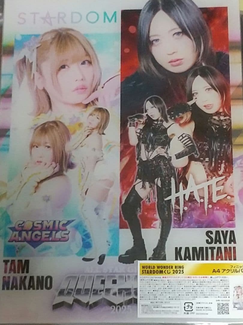 【未開封】A4アクリルパネル　スターダムくじ2025 フィニッシュ賞