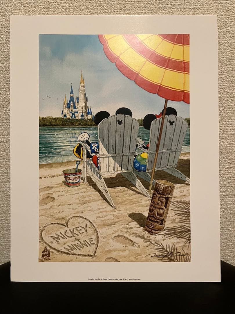 【新品】WDW ディズニー　アート　ポスター　David Doss