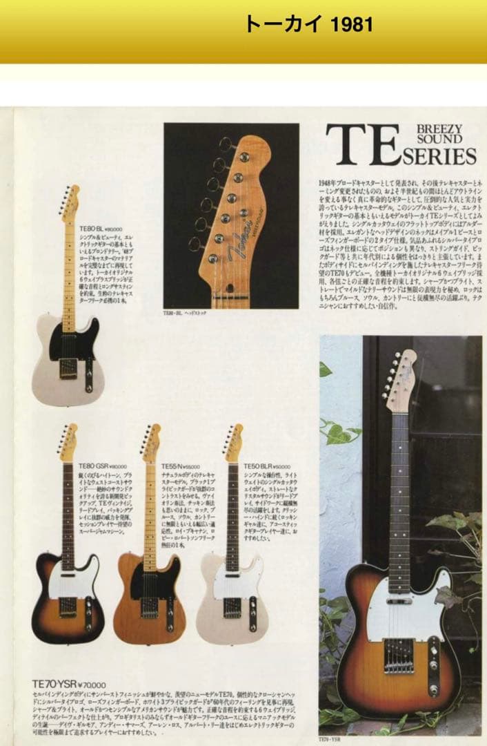 Tokai TE80 Fender Telecaster style トーカイ