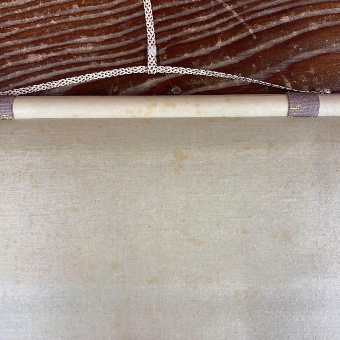 美品 掛け軸 有馬頼底作「松樹千年」相国寺 共箱 禅語 茶掛け 縁起物