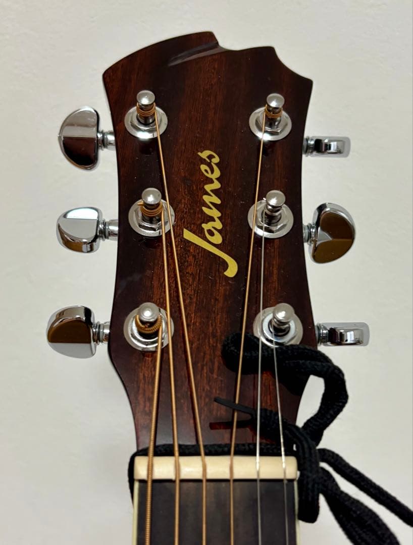 James JD400/TSB アコースティックギター（ケース付）