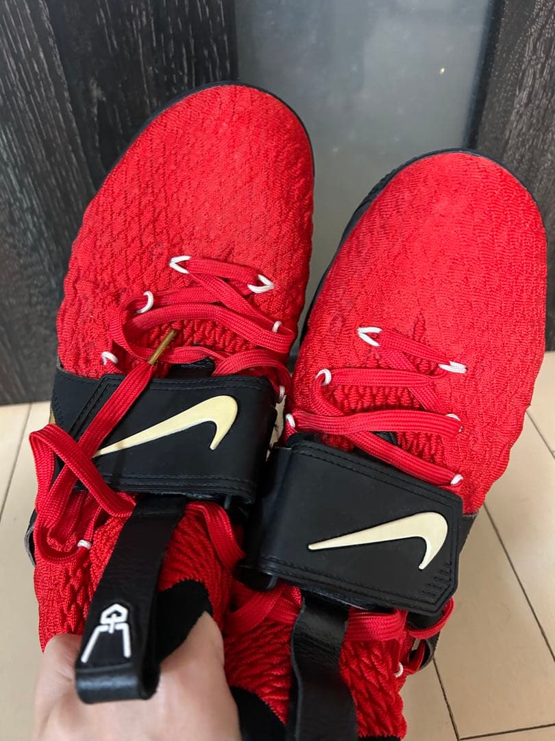 海外限定モデル　NIKE ナイキ レブロン15 プライムダイヤモンドターフ　28