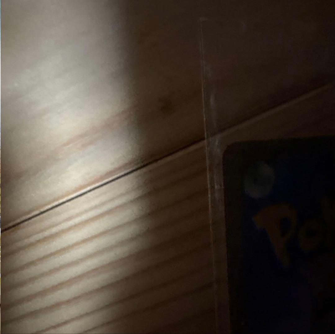 ポケモンカードゲーム 日本代表のピカチュウ 未開封