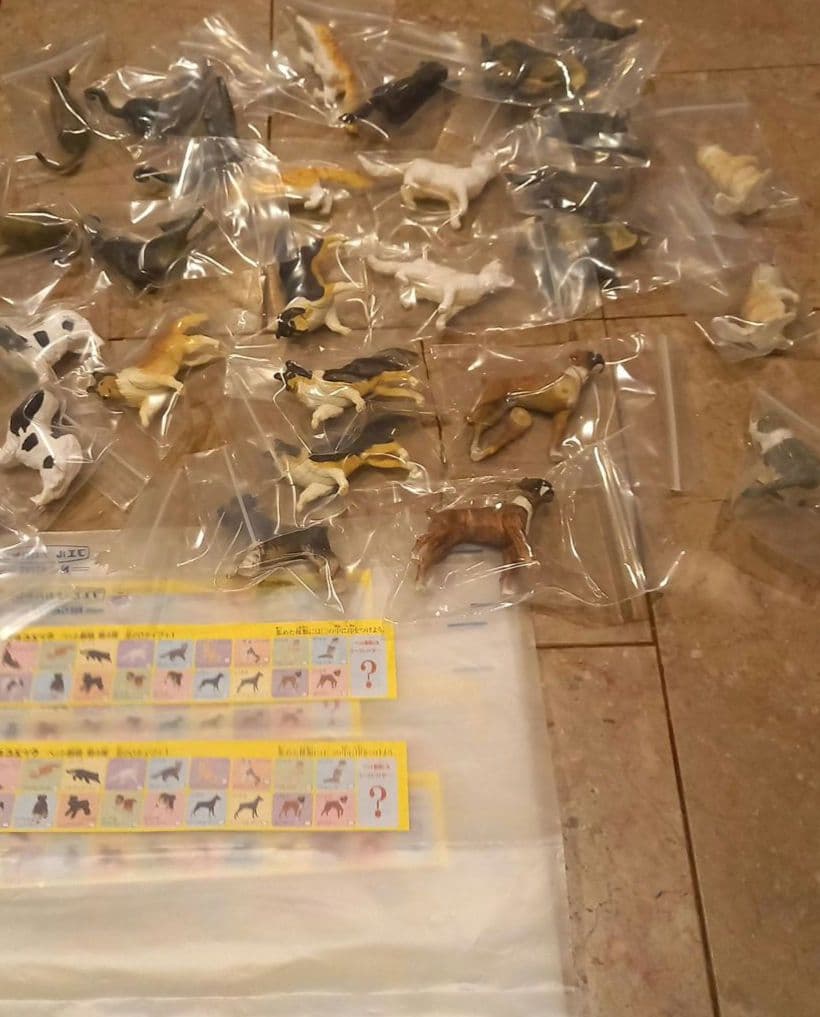 ★フルタ★チョコエッグ★ペット動物第4弾★14種28点★