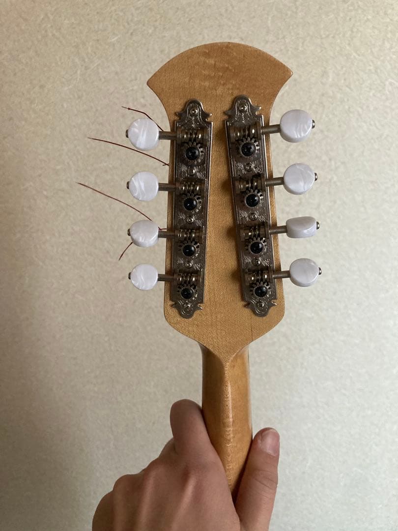 サウンドエナ　マンドリン　M-160