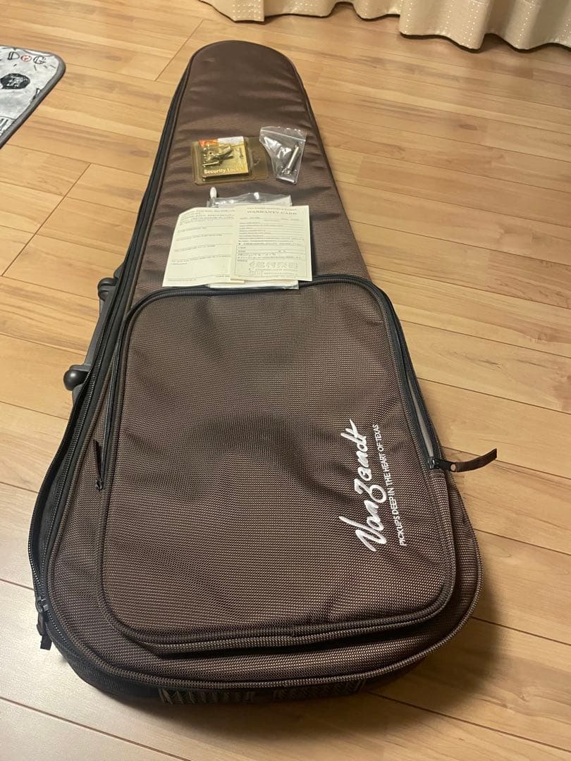 ギター vanzandt STV-70R