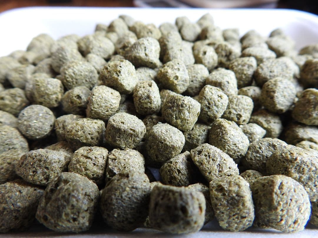 アヒル·コールダック用飼料10kg オリエンタル酵母工業ms