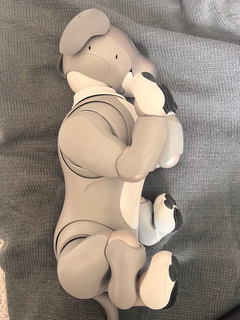 黒ごまエディション　SONY aibo ERS-1000 本体