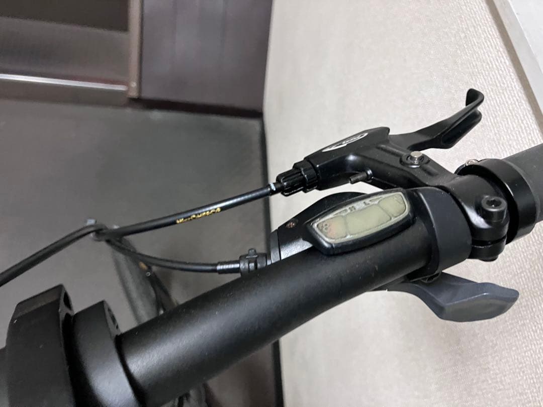 DAHON mu 8速　自家塗装