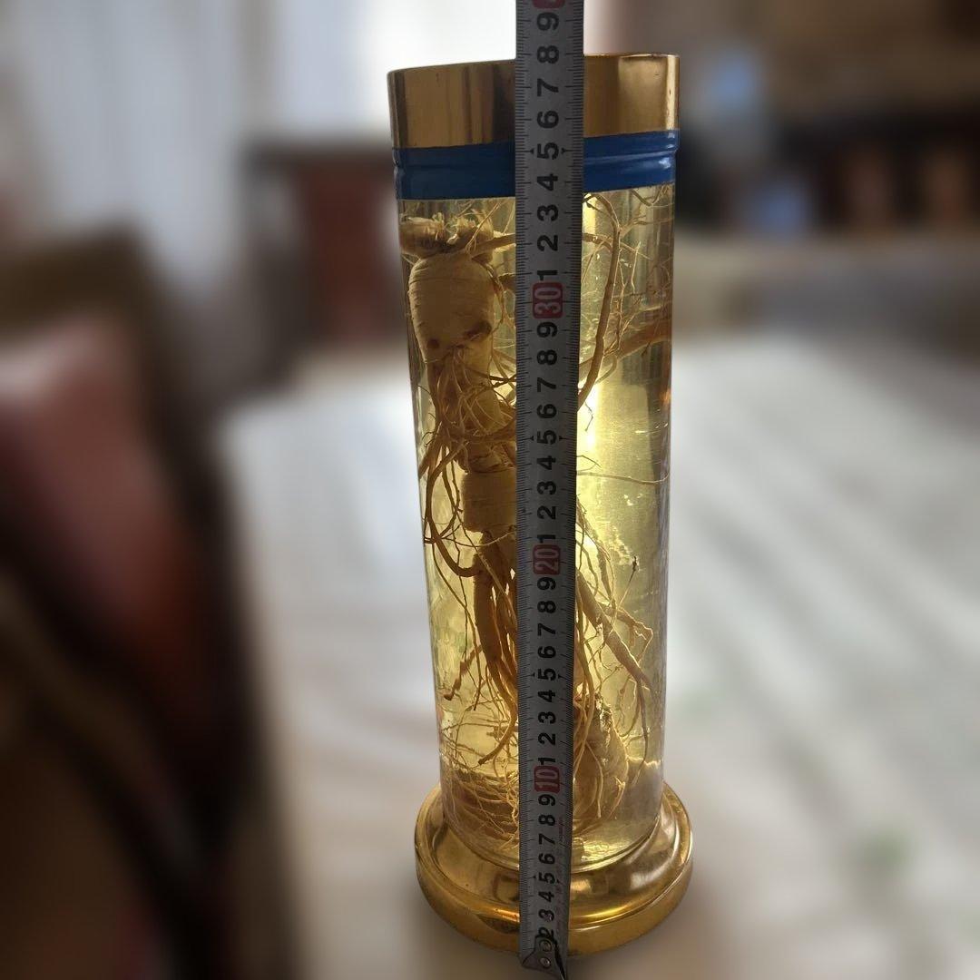 根茎入り透明液体容器 約25cm