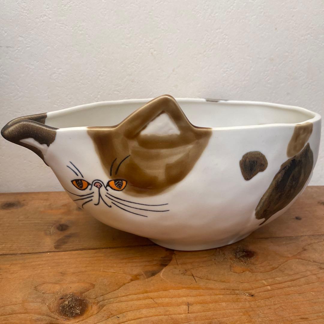 作家　野上千晶　猫　ボール