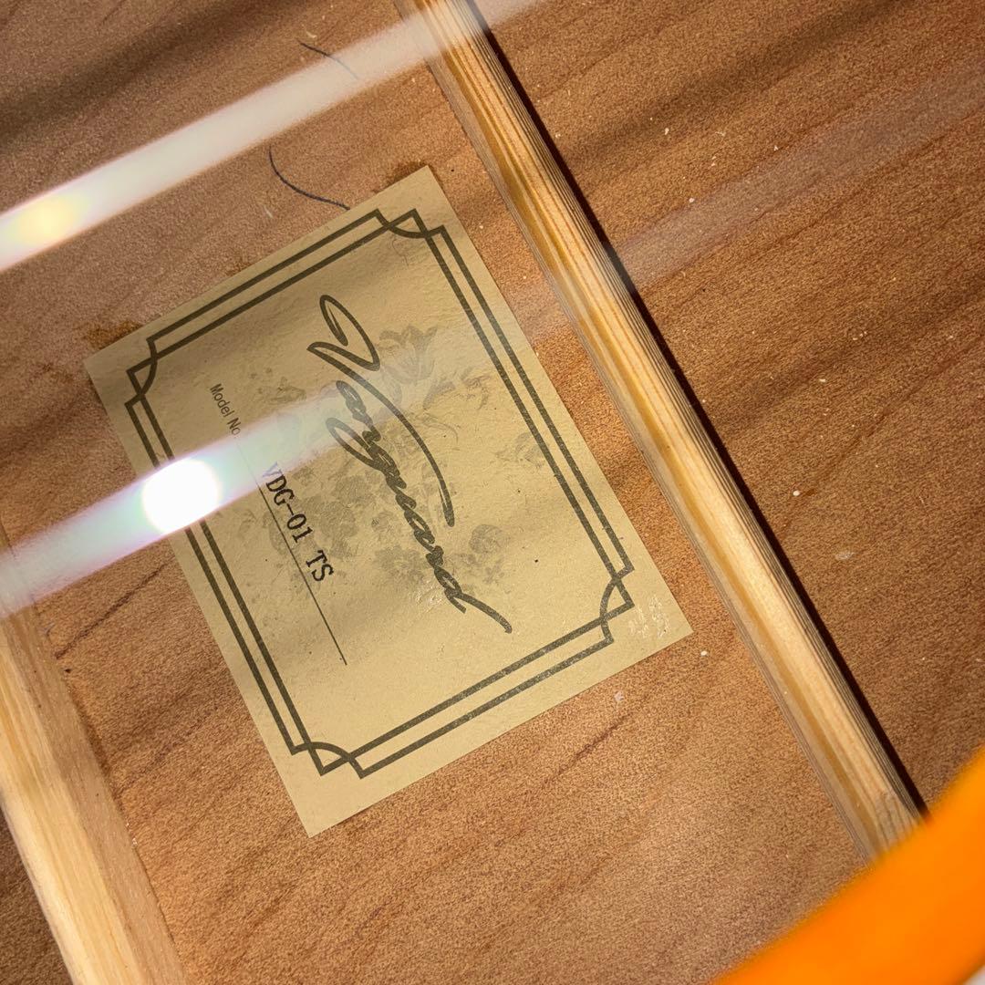 いい音！ 島村楽器　Vanguard アコースティックギター