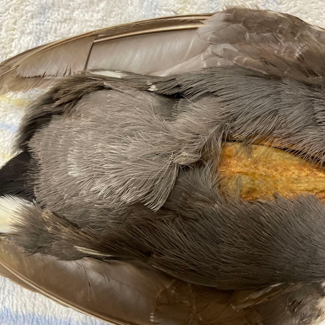 マテリアル在庫一掃セール