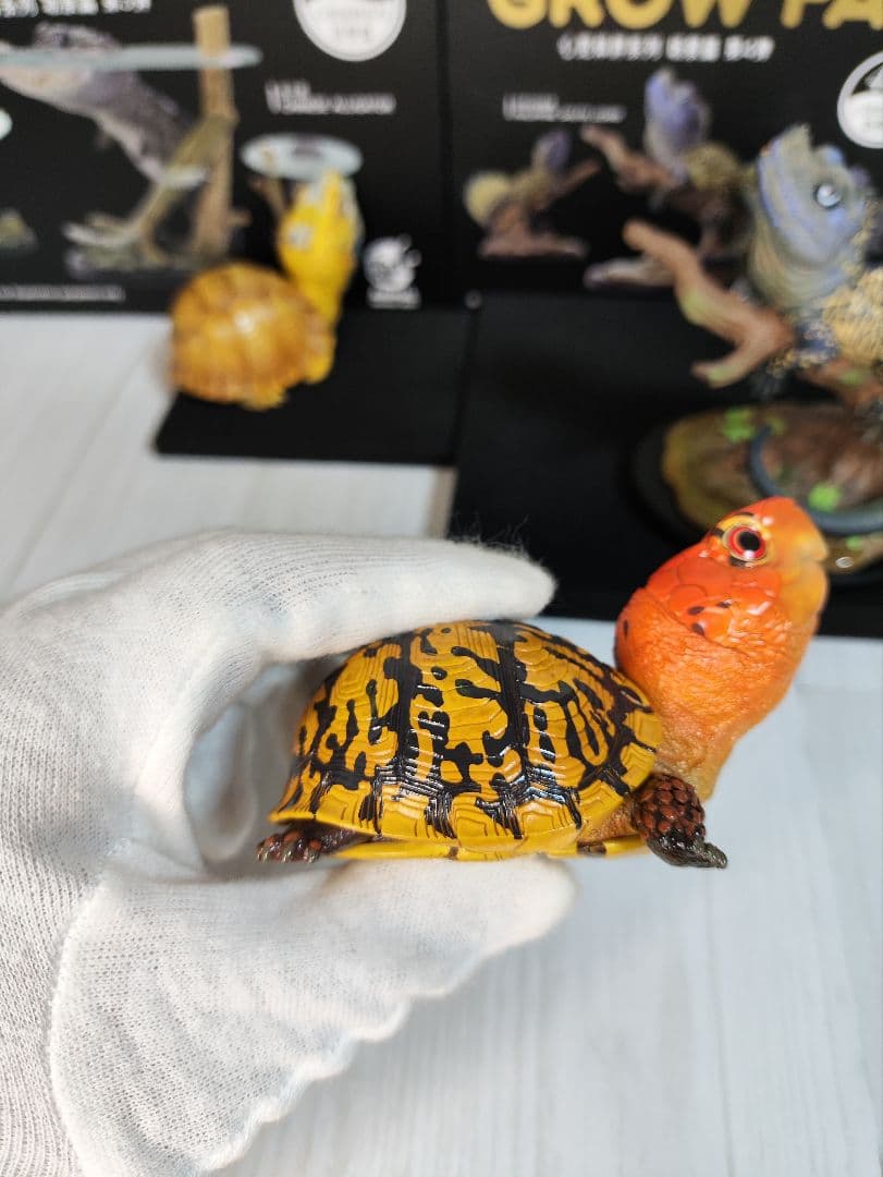 【動物の惑星】★上海展覧会限定ハコガメ2種類★ジオラマ第3、4弾! フィギュア