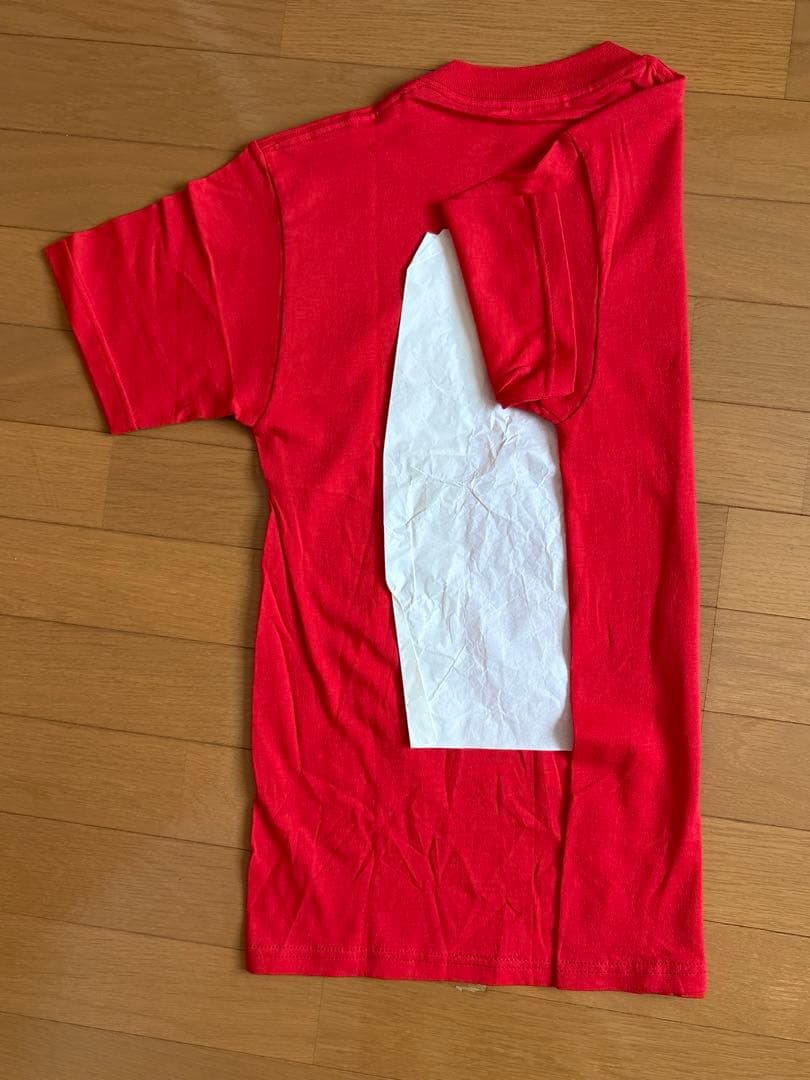 年末年始価格⭐︎激レアGOING STEADY 東京少年T ⭐︎銀杏BOYZ峯田和伸