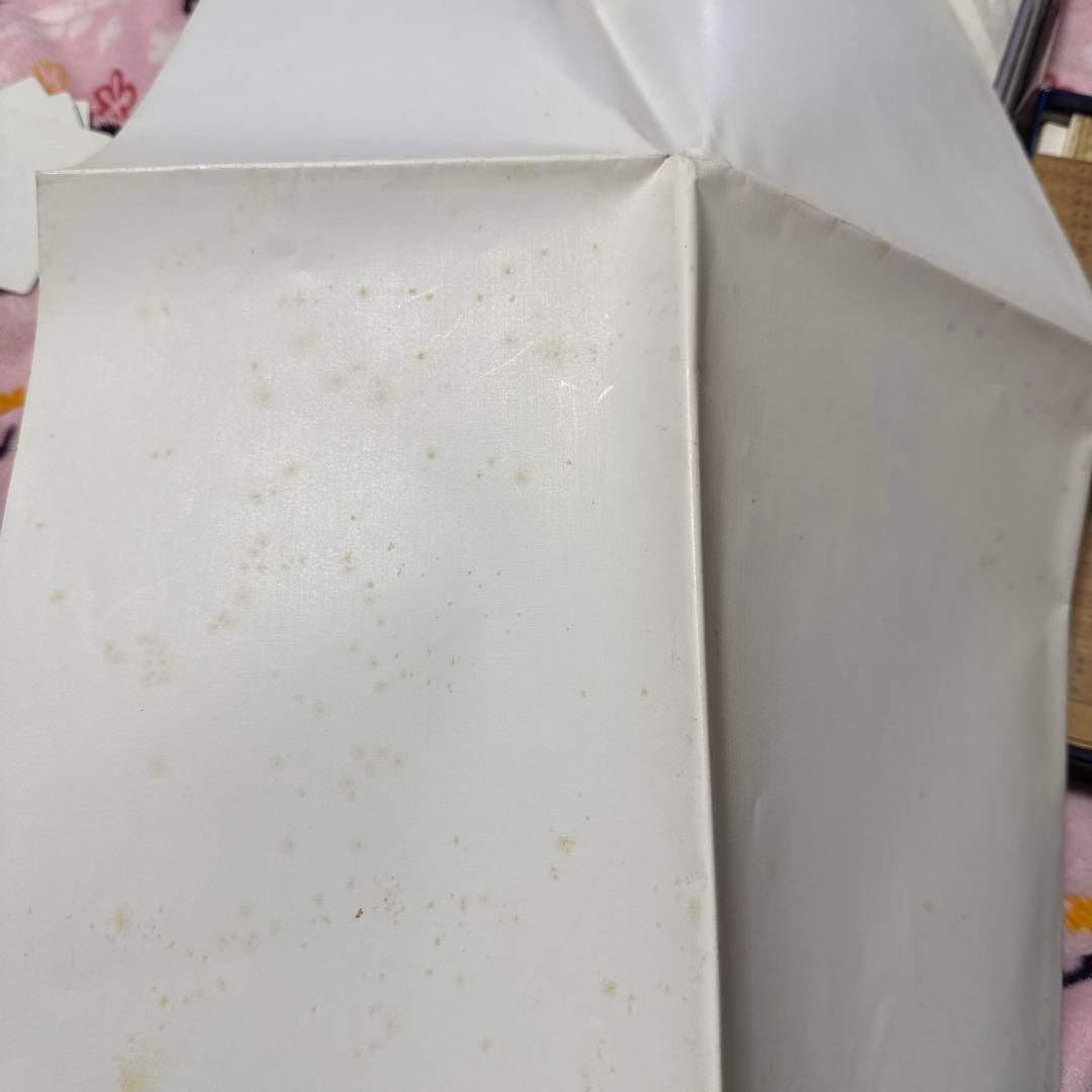 超希少 ブランディッシュ2 縦長ポスター