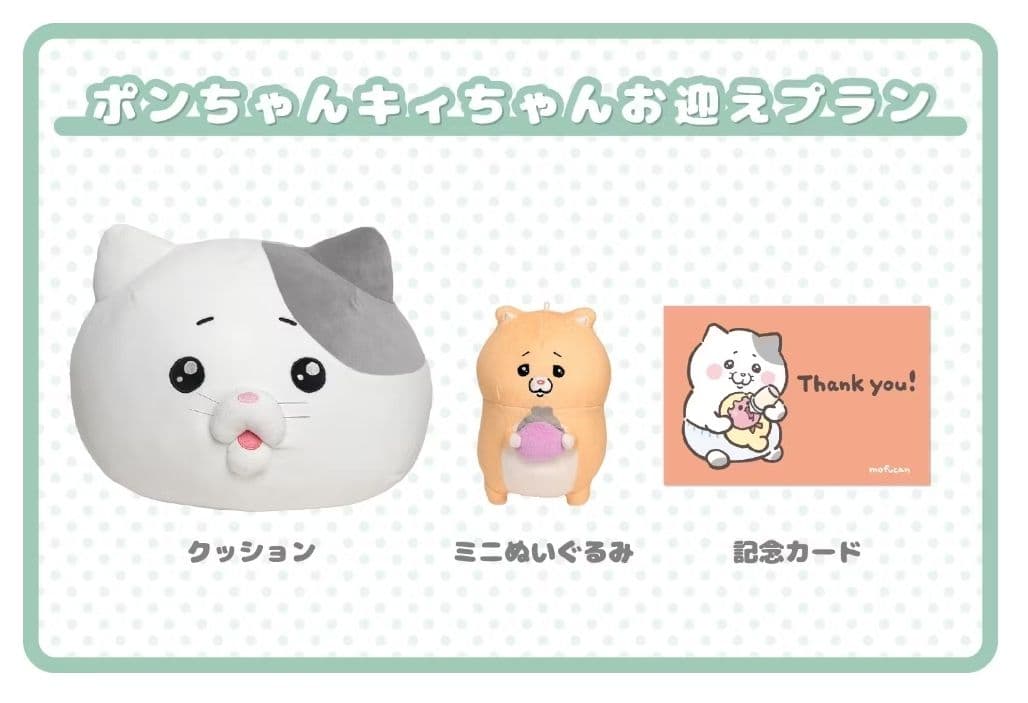 モフ缶 ポンちゃんクッションとキィちゃんぬいぐるみセット【未開封】