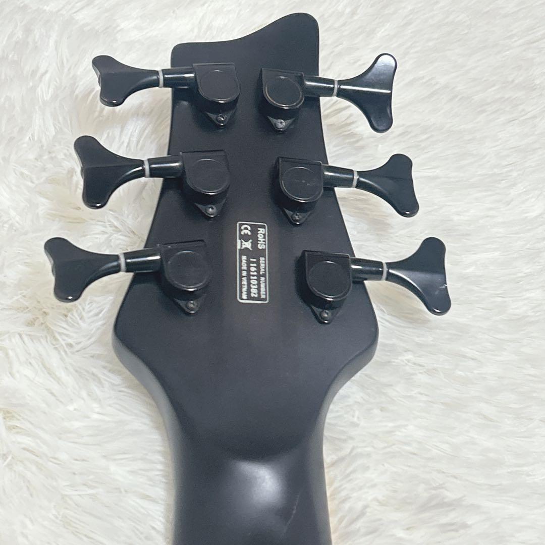 希少　6弦ベース　ベース　6弦 iyv オーダー　カスタム