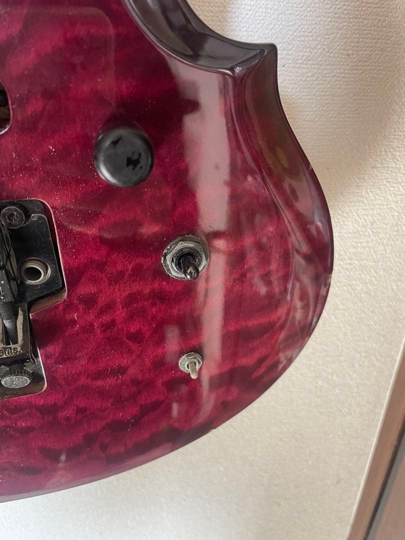 ギター　グラスルーツ　フォレスト　GRASS ROOTS