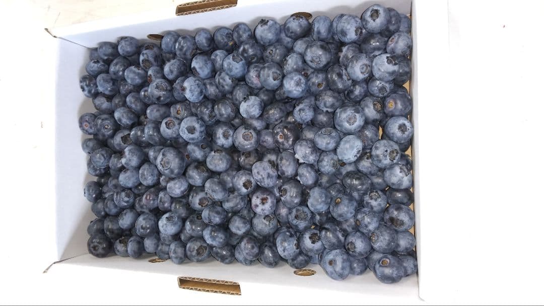 sa-★♦★♦☀他の方は不可