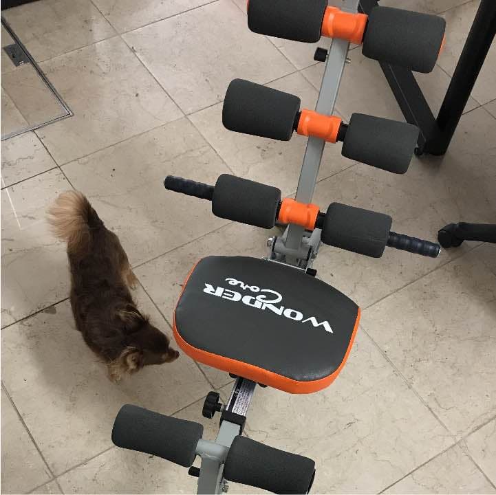 ワンダーコア  WONDＥR  COｒe