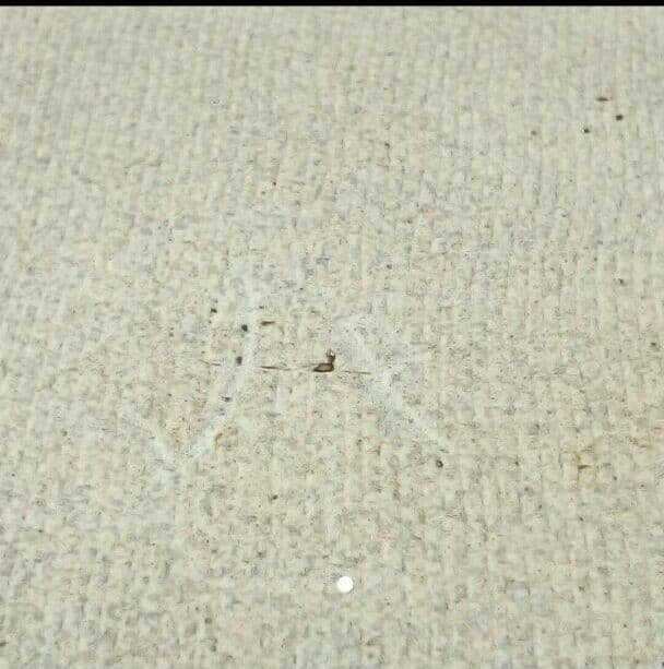 菓子鉢 中島満久作