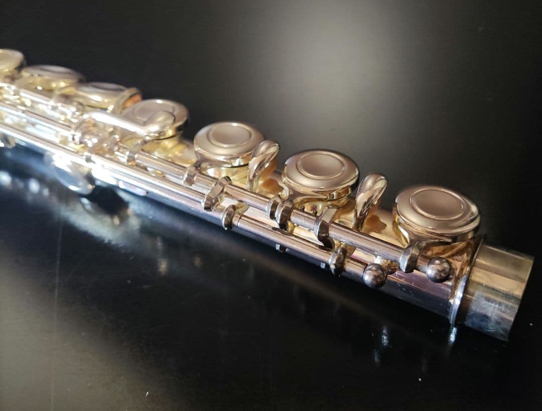 YAMAHA フルート YFL-221 廃盤 ケース バッグ 　部活　サークル