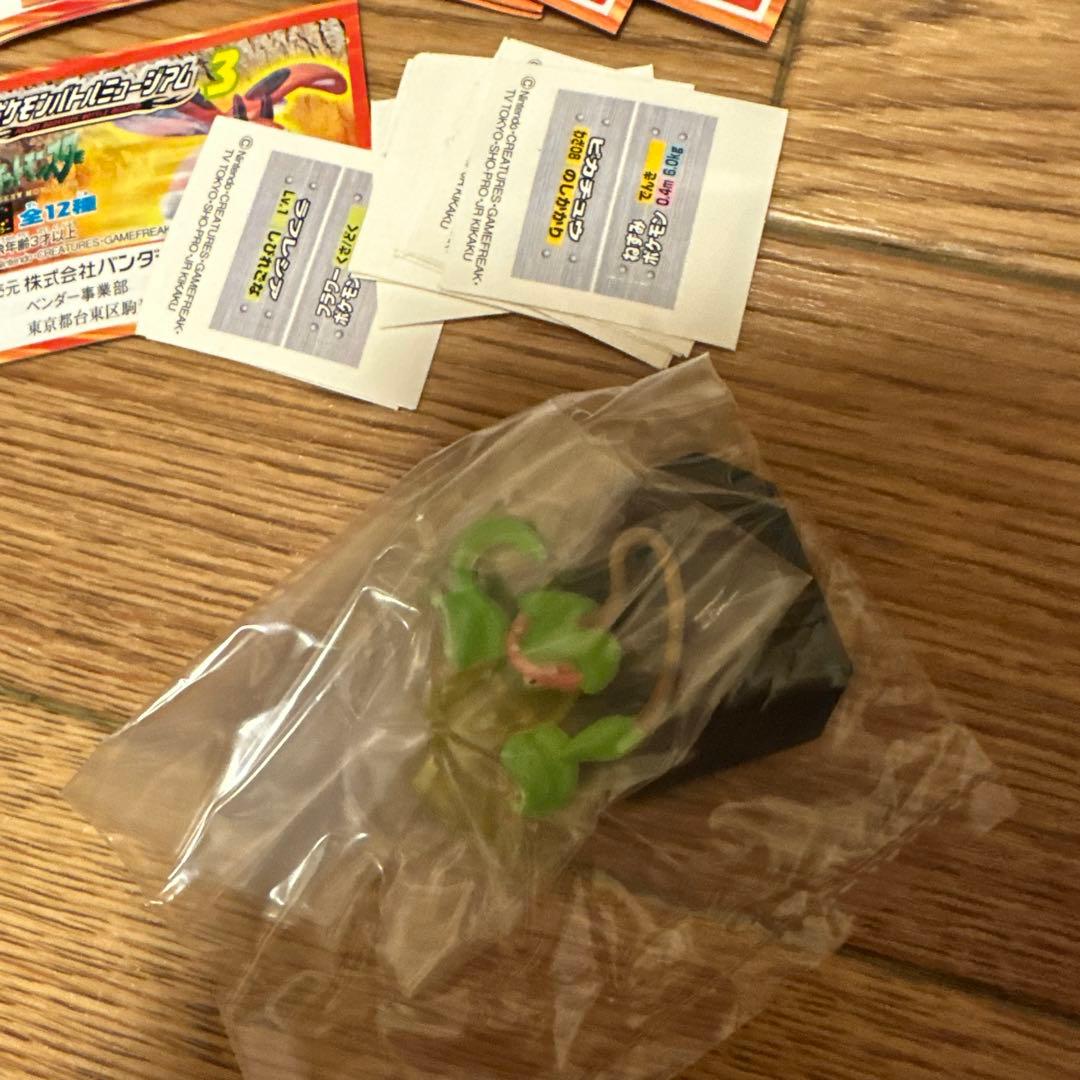 ポケモンバトルミュージアム3全12種コンプリート