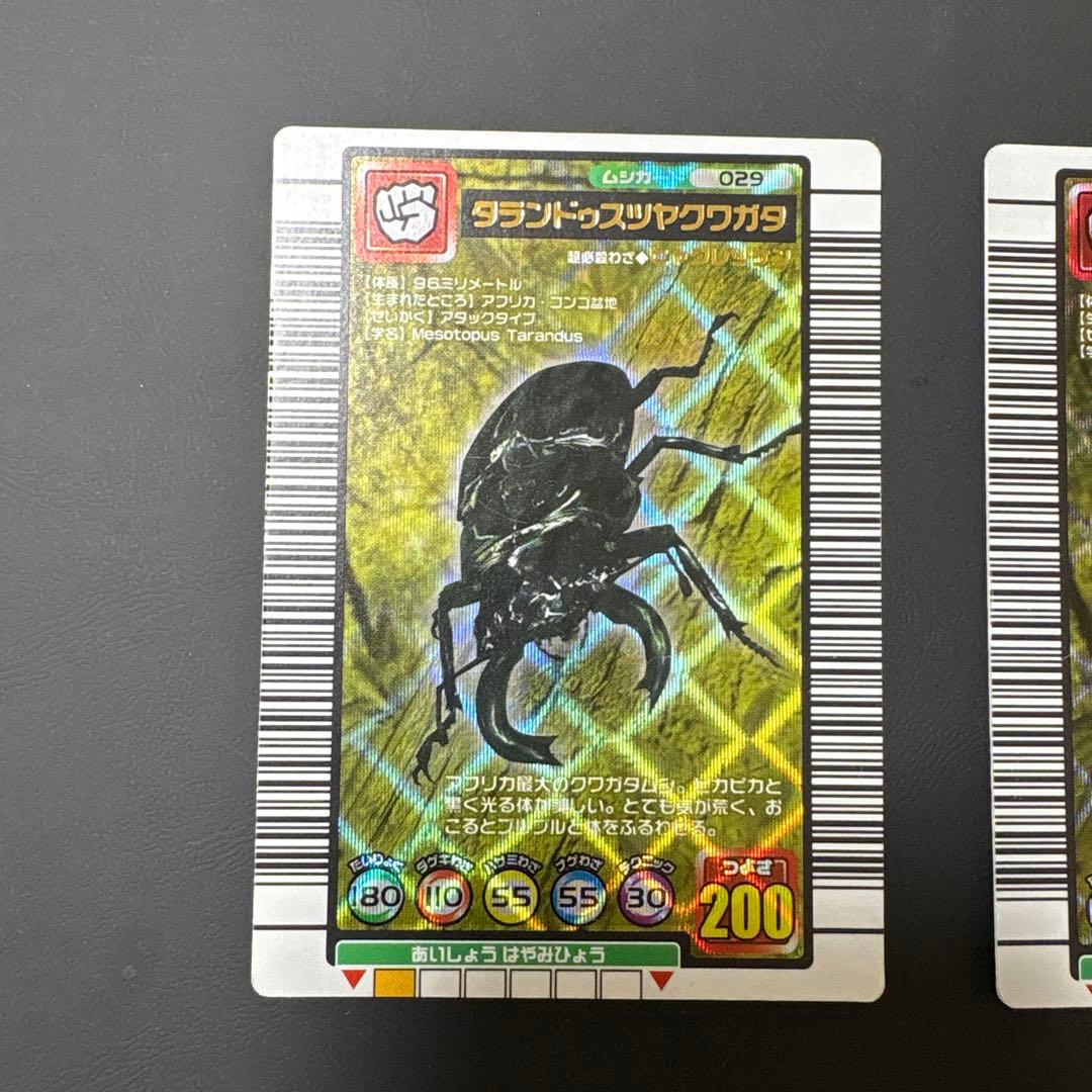 ムシキング　タランドゥスツヤクワガタ トレーディングカード 029