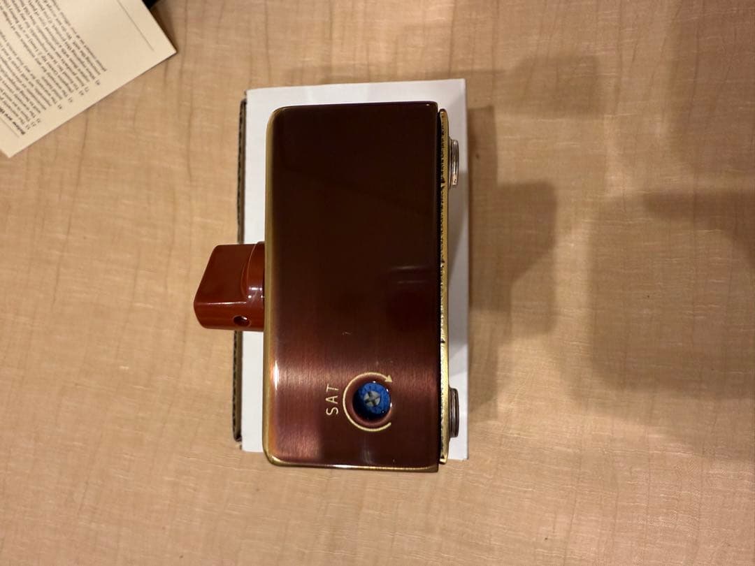 ギター VEMURAM Budi g