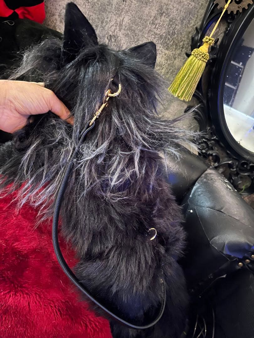 黒猫 ぬいぐるみ 等身大 リュック